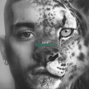 Zayn - Die For Me